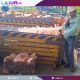 Kandang budidaya maggot di fasilitas Segregation Unit Plat PT Vale Indonesia Sorowako.