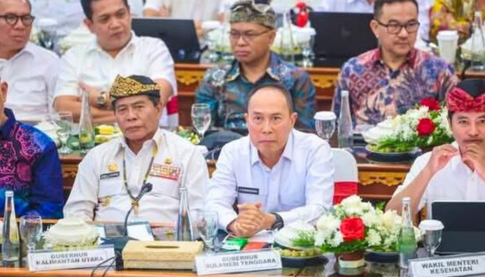 Ide Gubernur ASR Mau Kerahkan PPPK di Sultra Backup Operasional Koperasi Merah Putih
