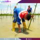 Pertamina Patra Niaga Sulawesi Tanam 1.000 Bibit Mangrove di Cagar Alam Panua