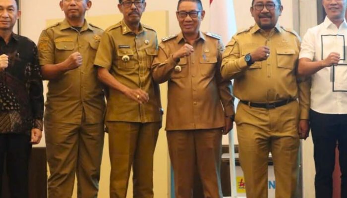 Plt. Bupati Kolaka Timur Partisipasi di Diseminasi RUPTL PLN 2025–2034