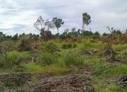 Waktu Tanah Nganggur Disita Negara Dipersingkat Jadi 90 Hari