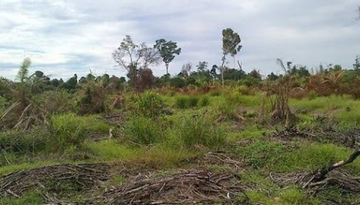 Waktu Tanah Nganggur Disita Negara Dipersingkat Jadi 90 Hari