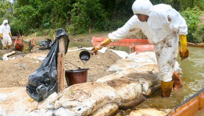 Progres Pemulihan PT Vale di Towuti: Dari Respon Darurat Menuju Solusi Terstruktur