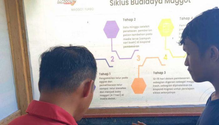 Pertamina Sulawesi Gandeng TPS 3R AKUoranglapangan Garap Sampah Berbasis 3R di Luwuk