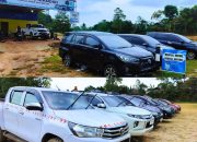Toyota Masih Rajai Pasar Mobil Nasional, Andalan Usaha Rental di Kendari