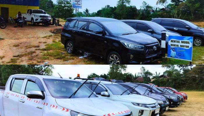 Toyota Masih Rajai Pasar Mobil Nasional, Andalan Usaha Rental di Kendari