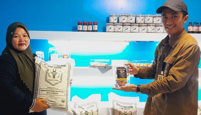 Tampil di Gebyar UMKM HIPMI 2025, Beras Organik Kolaka Berkembang Berkat Pendampingan PT Vale