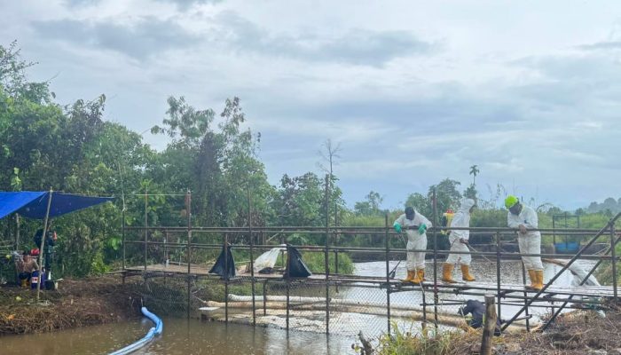 Towuti Bergerak Bersama: PT Vale dan Warga Perkuat Pemulihan dengan Data Ilmiah dan Gotong Royong