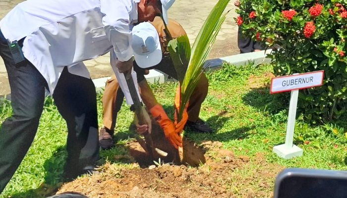 Jadi Simbol Kehidupan, Penanaman Kelapa Serentak Warnai Aksi Hijau Lapas se-Indonesia di Kendari