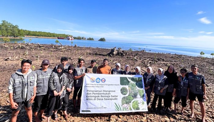 KKN Tematik Mahasiswa UHO: Tanam Bibit Mangrove di Pesisir Sawapudo, Bentuk Remaja Sadar Iklim