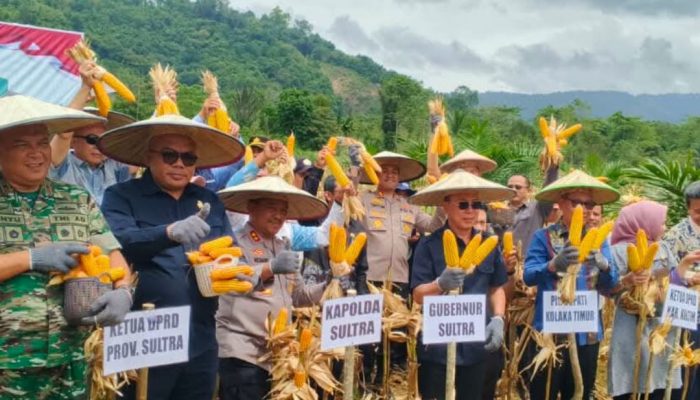 Gubernur Andi Sumangerukka Hadiri Panen Raya Jagung Serentak di Koltim