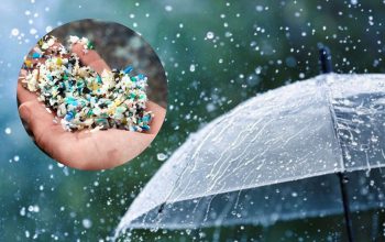 Mikroplastik di Air Hujan