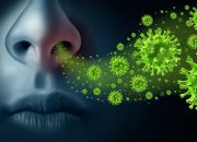 Kemenkes Ingatkan RI Dibayangi Kenaikan Influenza A, Mulai Ngegas di Asia Tenggara