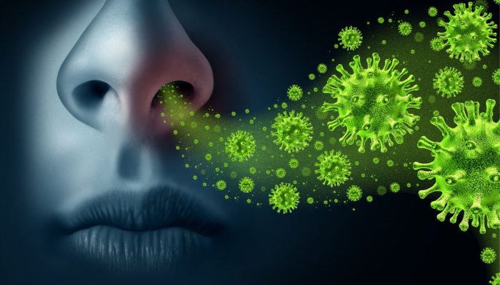 Kemenkes Ingatkan RI Dibayangi Kenaikan Influenza A, Mulai Ngegas di Asia Tenggara