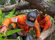 Hilang Sejak September Lalu Saat ke Kebun, Satu Warga Buton Ditemukan Meninggal Dunia