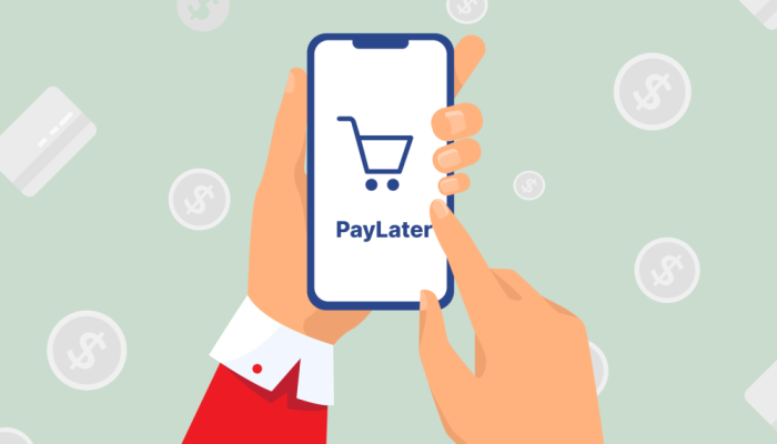 Tips Bijak Pakai Paylater Agar Tak Jor-joran Jajan dan Terlilit Utang