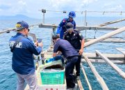 Polisi Ciduk Nelayan Pelaku Bom Ikan di Perairan Kolaka saat Patroli