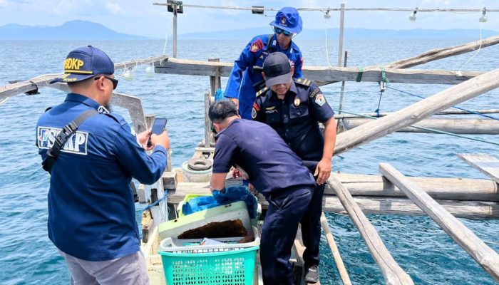 Polisi Ciduk Nelayan Pelaku Bom Ikan di Perairan Kolaka saat Patroli