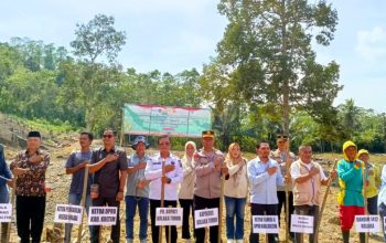 Pemda Koltim Dukung Swasembada Pangan Nasional Lewat Aksi Tanam Jagung Serentak Kuartal IV