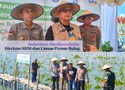 Kolaborasi Bulog Pusat & Langkoe Diving Club Tanam 1000 Bibit di Pesisir Tapulaga, Konawe