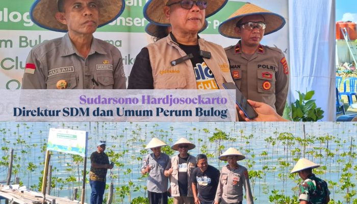 Kolaborasi Bulog Pusat & Langkoe Diving Club Tanam 1000 Bibit di Pesisir Tapulaga, Konawe