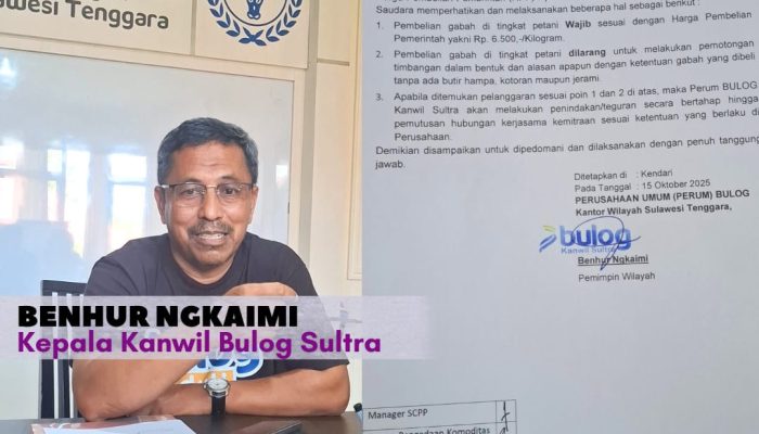 Bulog Sultra Pertegas Tak Ada Gabah Petani yang ‘Disunat’, Mitra Langgar HPP Siap-Siap Kena Sanksi
