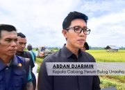 Bulog Unaaha Imbau Petani Tanam Padi Berkualitas, Harga Gabah Lebih Terjamin
