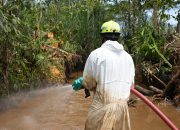 Wujud Nyata Pemulihan di Towuti, PT Vale Tuntaskan Enam Titik Penanganan Tumpahan Pipa Minyak