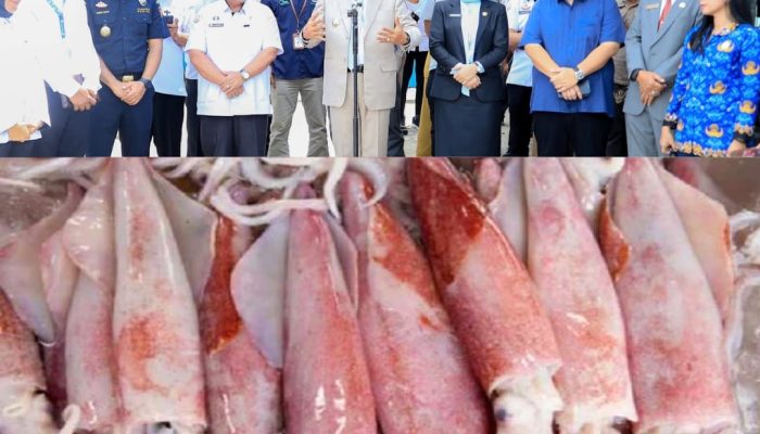 Mengenal Spesies Cumi Loligo, Komoditi Unggulan Sultra yang Diekspor ke Negara Vietnam