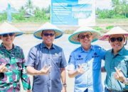 Aksi Perdana Penanaman Demplot Padi, PT Vale & Pemkab Kolaka Bersinergi Perkuat Ketahanan Pangan