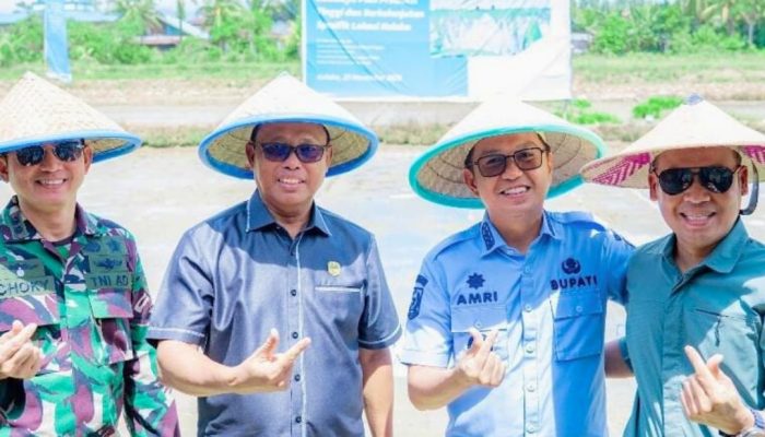 Aksi Perdana Penanaman Demplot Padi, PT Vale & Pemkab Kolaka Bersinergi Perkuat Ketahanan Pangan