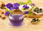 Manfaat Bunga Telang untuk Kesehatan, dari Kulit hingga Pernapasan