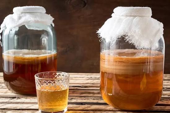 kombucha