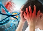 Waspada Meningokokus, Penyakit Mematikan Bisa Membunuh dalam 24 Jam