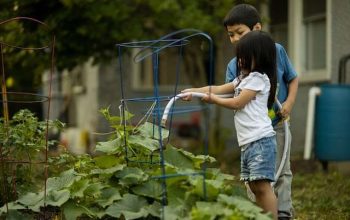 Berkebun atau Merawat Tanaman