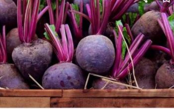 10 Makanan Penurun Darah Tinggi Alami yang Mudah Didapat, Ini Daftarnya