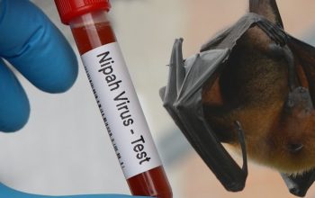 Ngantuk Berlebihan Secara Tak Wajar Jadi Salah Satu Gejala Virus Nipah