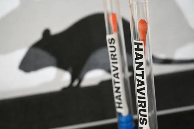 hantavirus