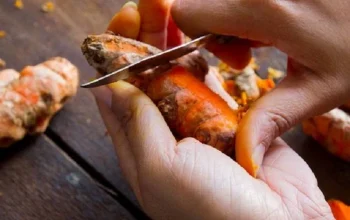 7 Cara Membersihkan Noda Kunyit di Kuku dan Tangan dengan Bahan Alami