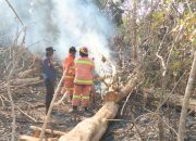Kendari Dikepung Kebakaran Lahan, 8 Kejadian Terjadi dalam Sehari