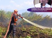 Polisi Tangkap Warga yang Bakar 80 Hektare Kawasan Hutan Produksi di Koltim, Langsung Jadi Tersangka