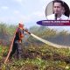 Polisi Tangkap Warga yang Bakar 80 Hektare Kawasan Hutan Produksi di Koltim, Langsung Jadi Tersangka